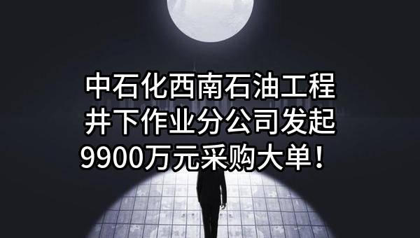 2024年动力分包（柴驱）服务项目招标公告