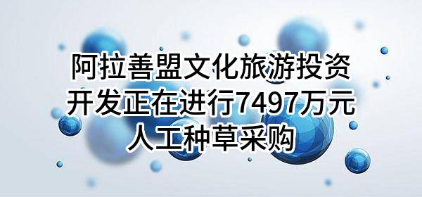 阿右旗荒漠综合治理工程招标公告