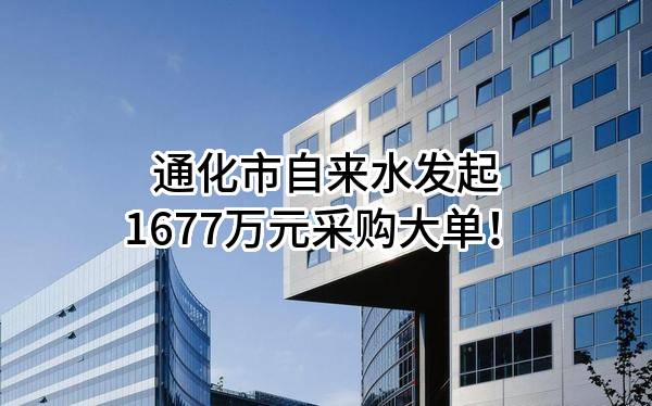 通化市公共供水管网漏损治理建设项目（设备材料采购）