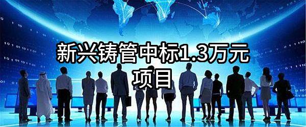 新兴铸管股份有限公司中标1.3万元项目